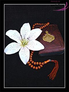 ارسال شده توسط : زهرا محمد زاده (زِلفِشـــه)